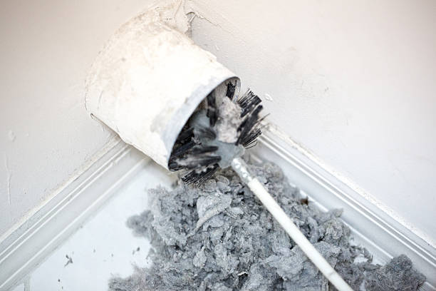 Best HVAC Duct Inspection Services  in Leesville, LA